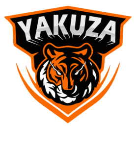 Maa Luxmi E-Vehicles Private Limited